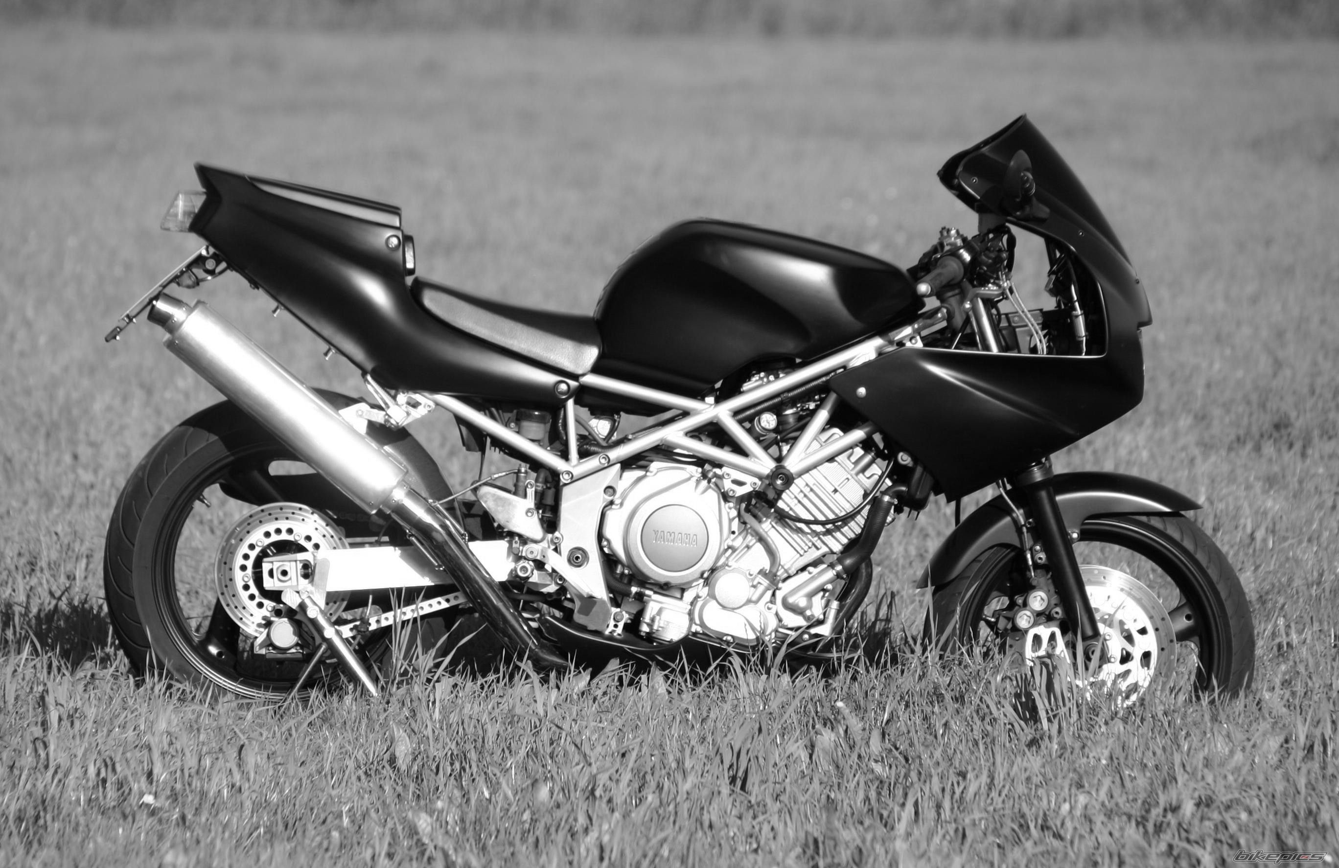 Photo 2006684