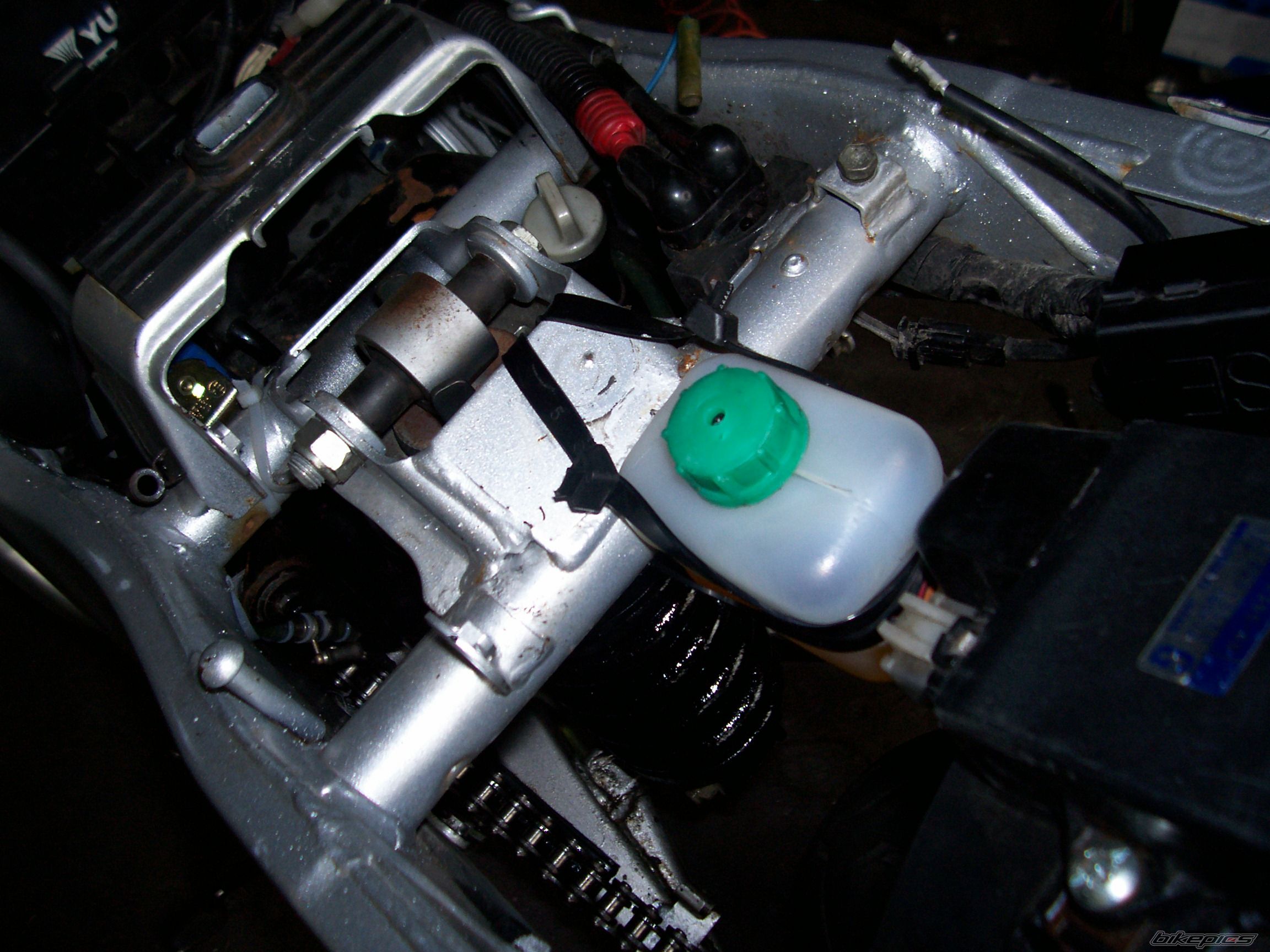 Photo 2006713