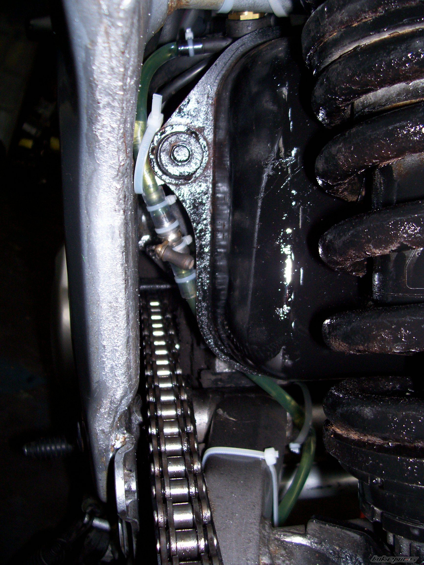 Photo 2006715