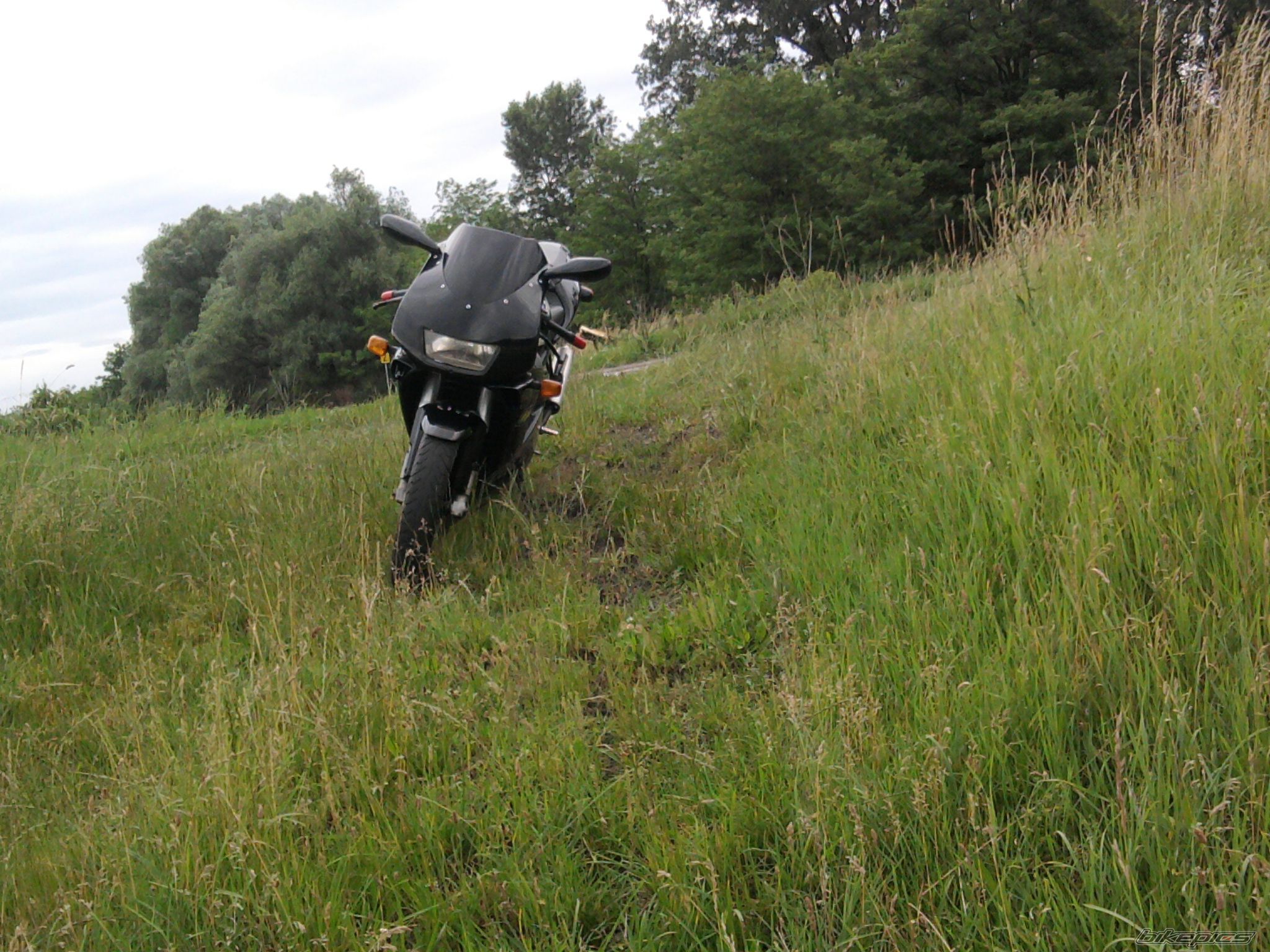Photo 2006774