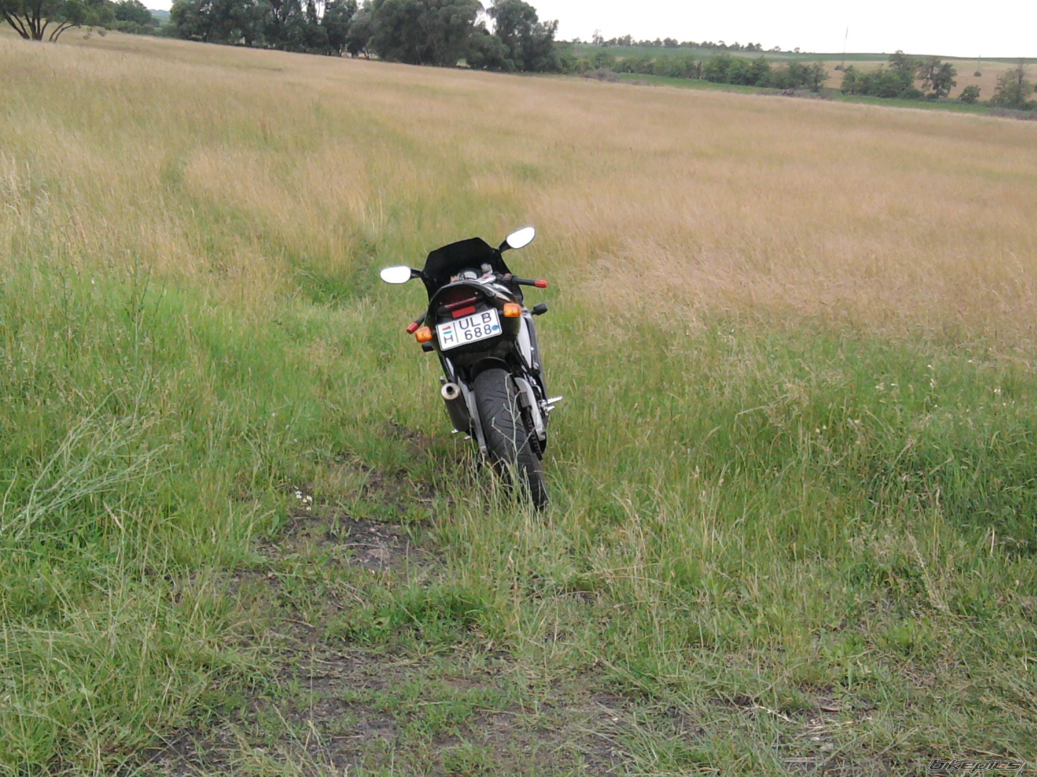 Photo 2006775