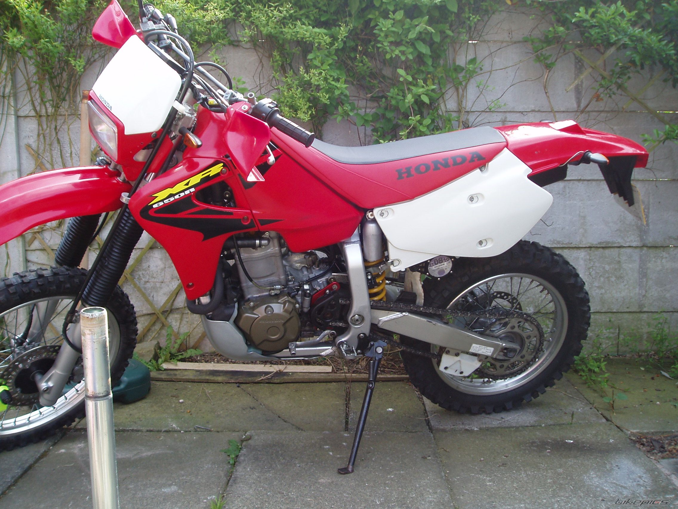 Photo 2006786