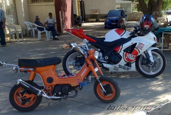 Photo 2006788