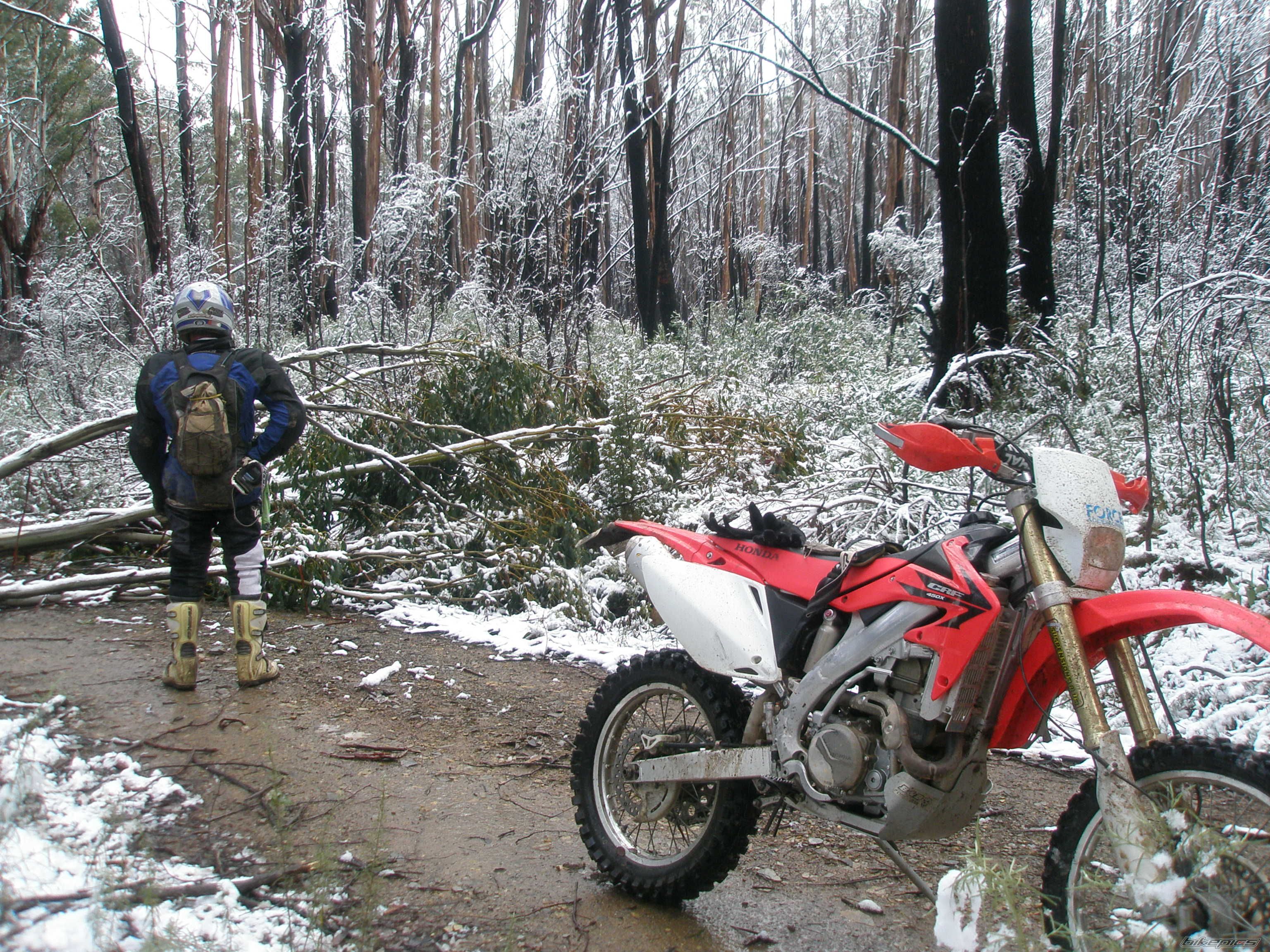 Photo 2006866