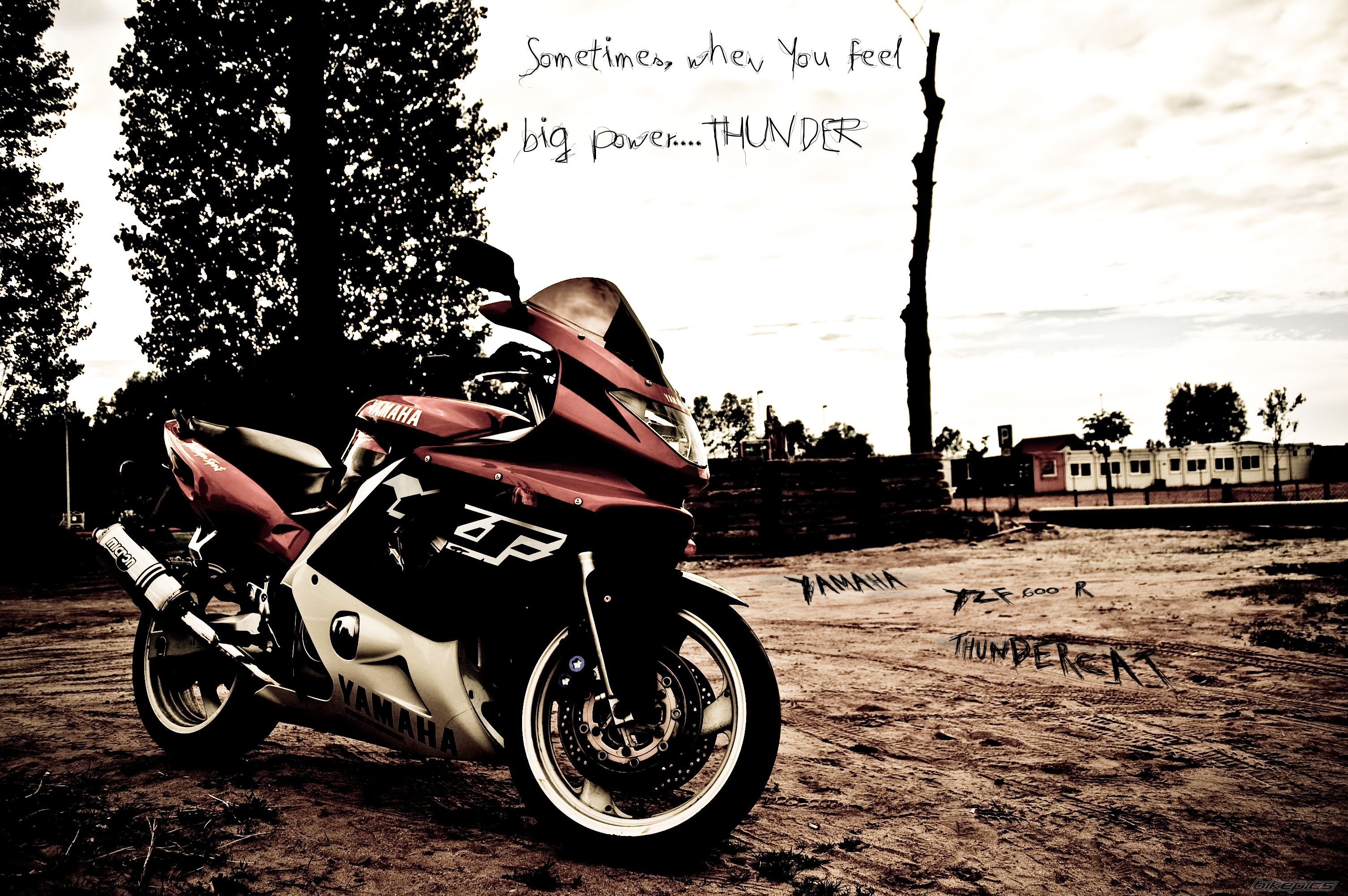 Bike Photo 2006898