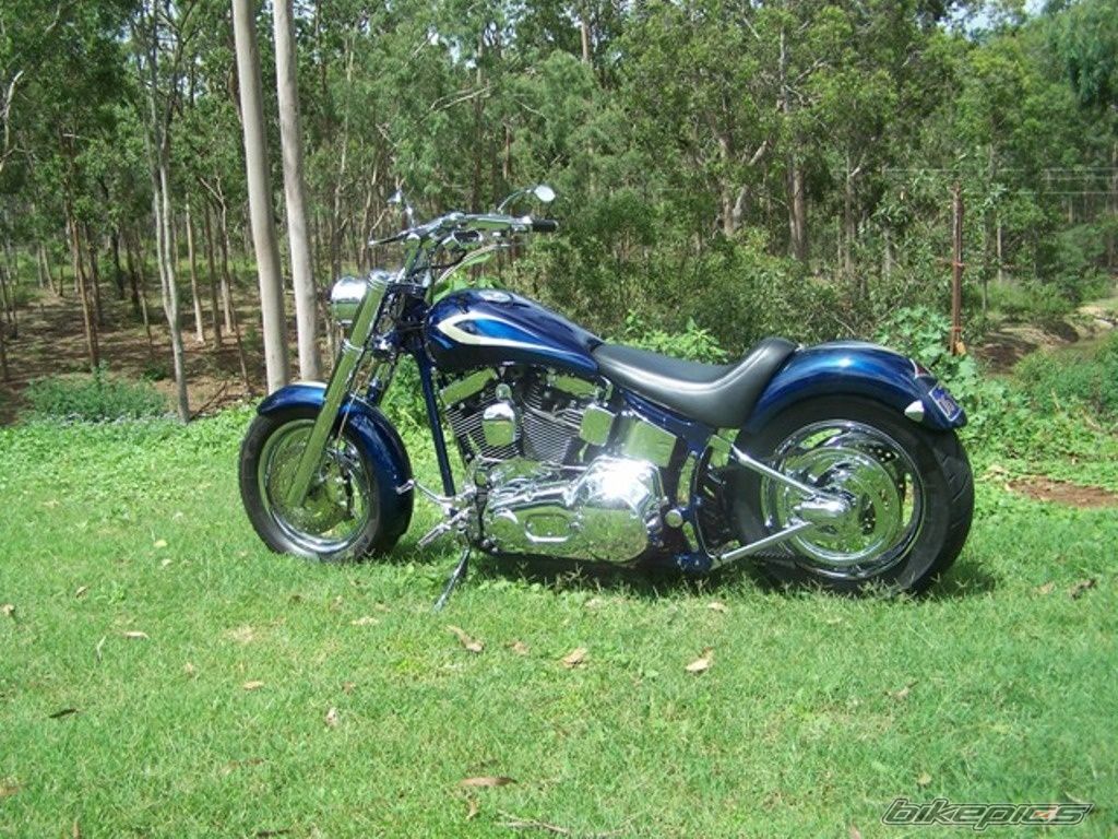 Photo 2007025