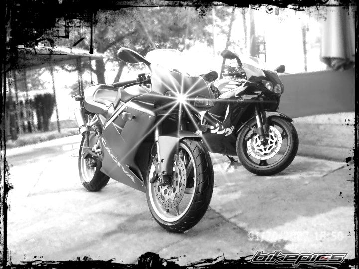 Photo 2007094