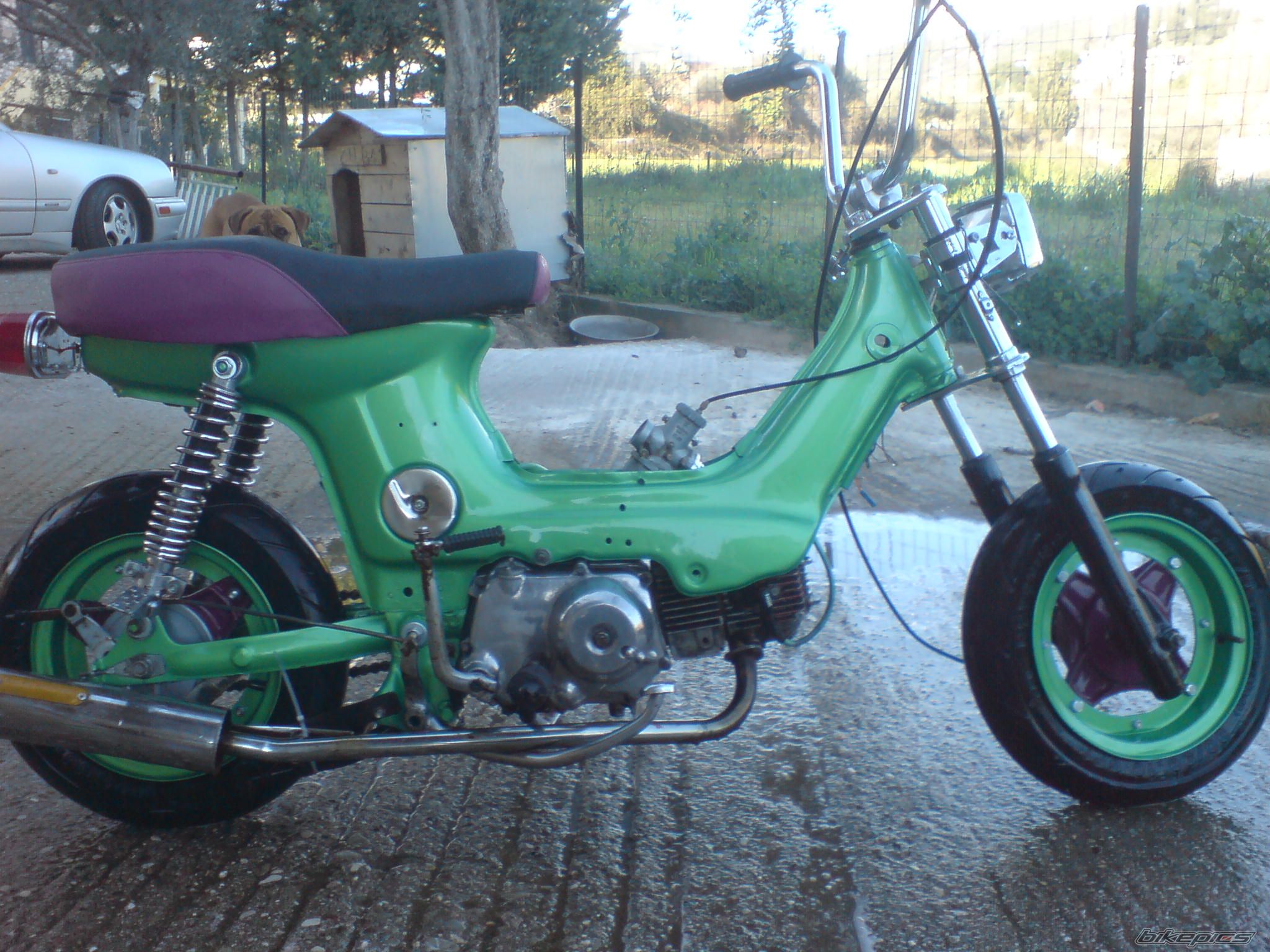 Photo 2007158