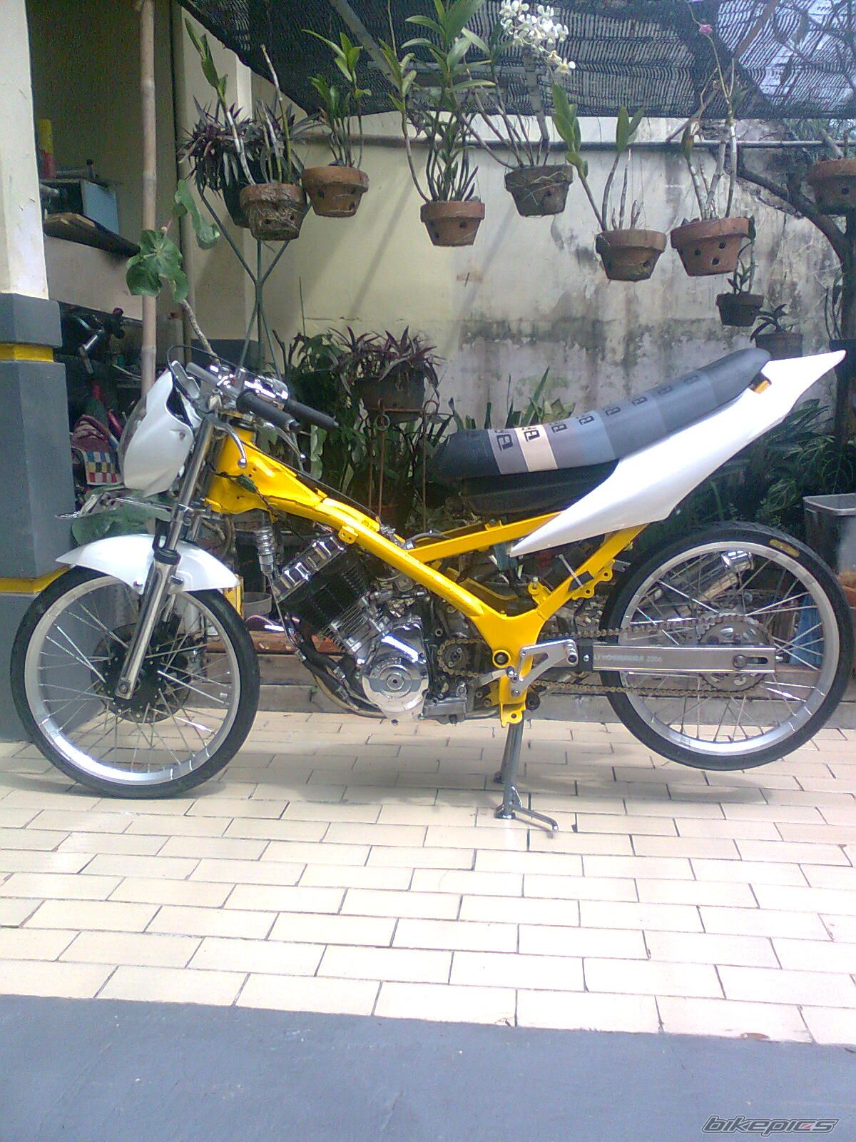 Photo 2007171