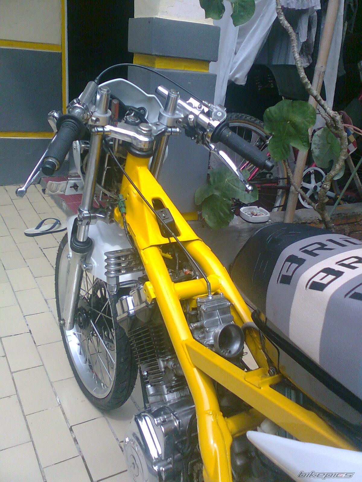 Photo 2007173