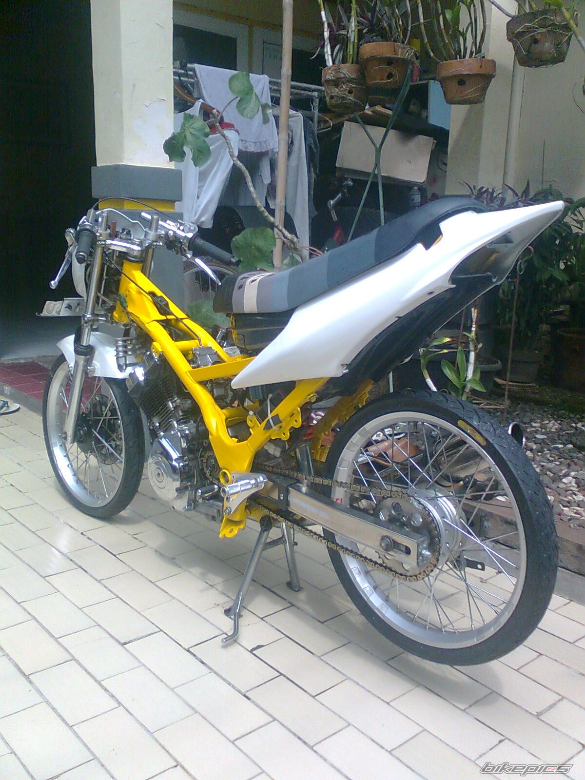 Photo 2007175