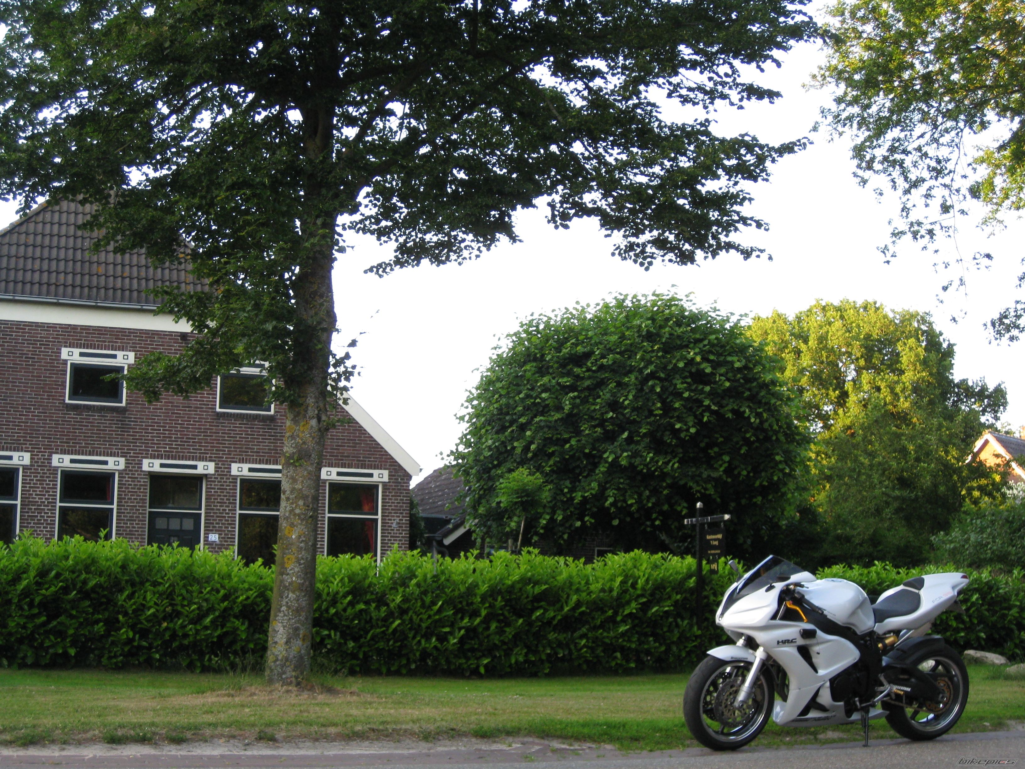 Photo 2007179