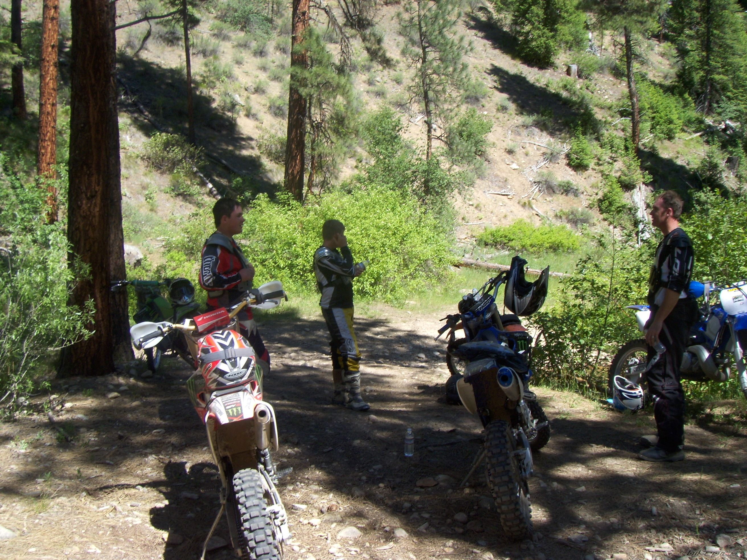 Photo 2007187