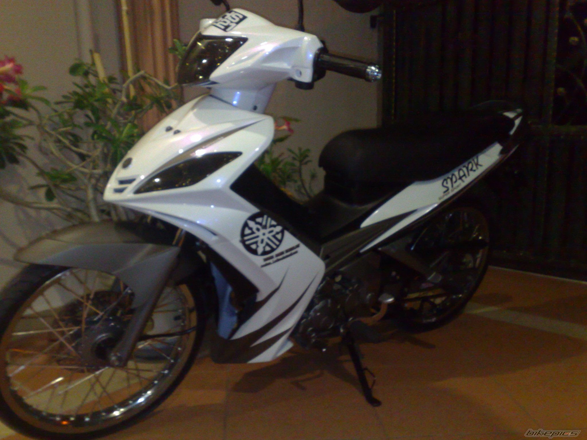 Photo 2007253