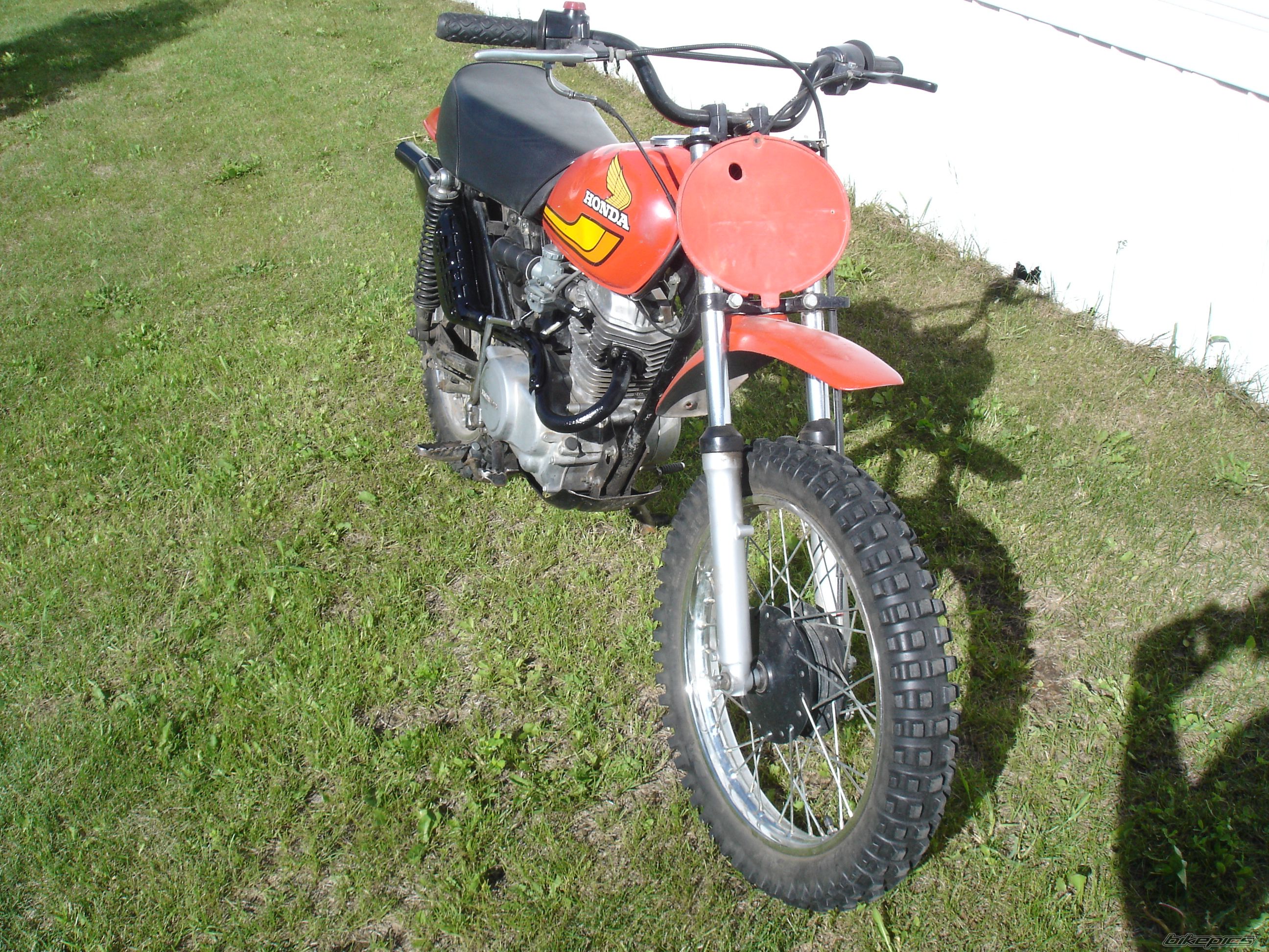 Photo 2007263