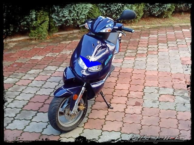 Photo 2007271