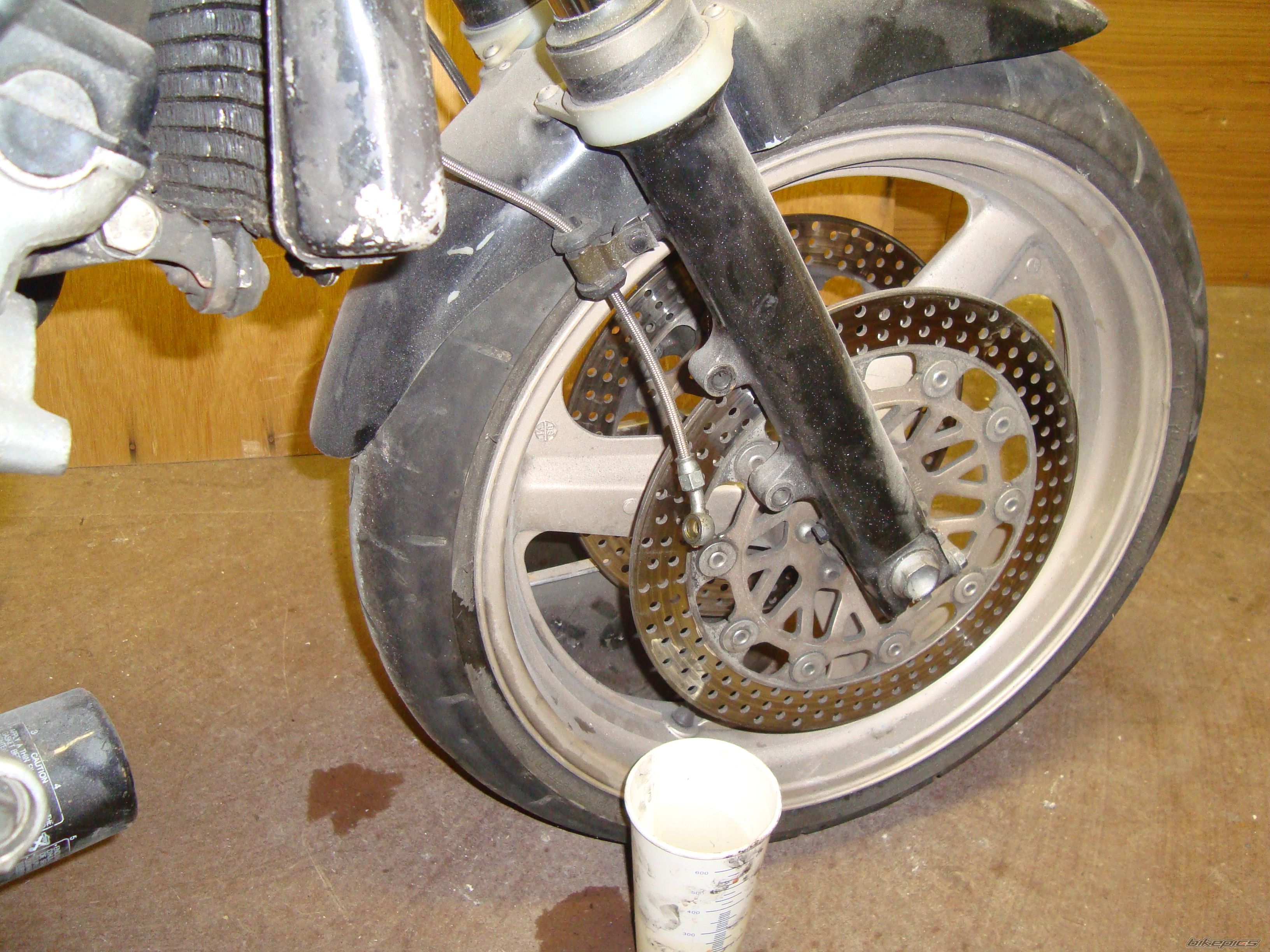 Photo 2007284