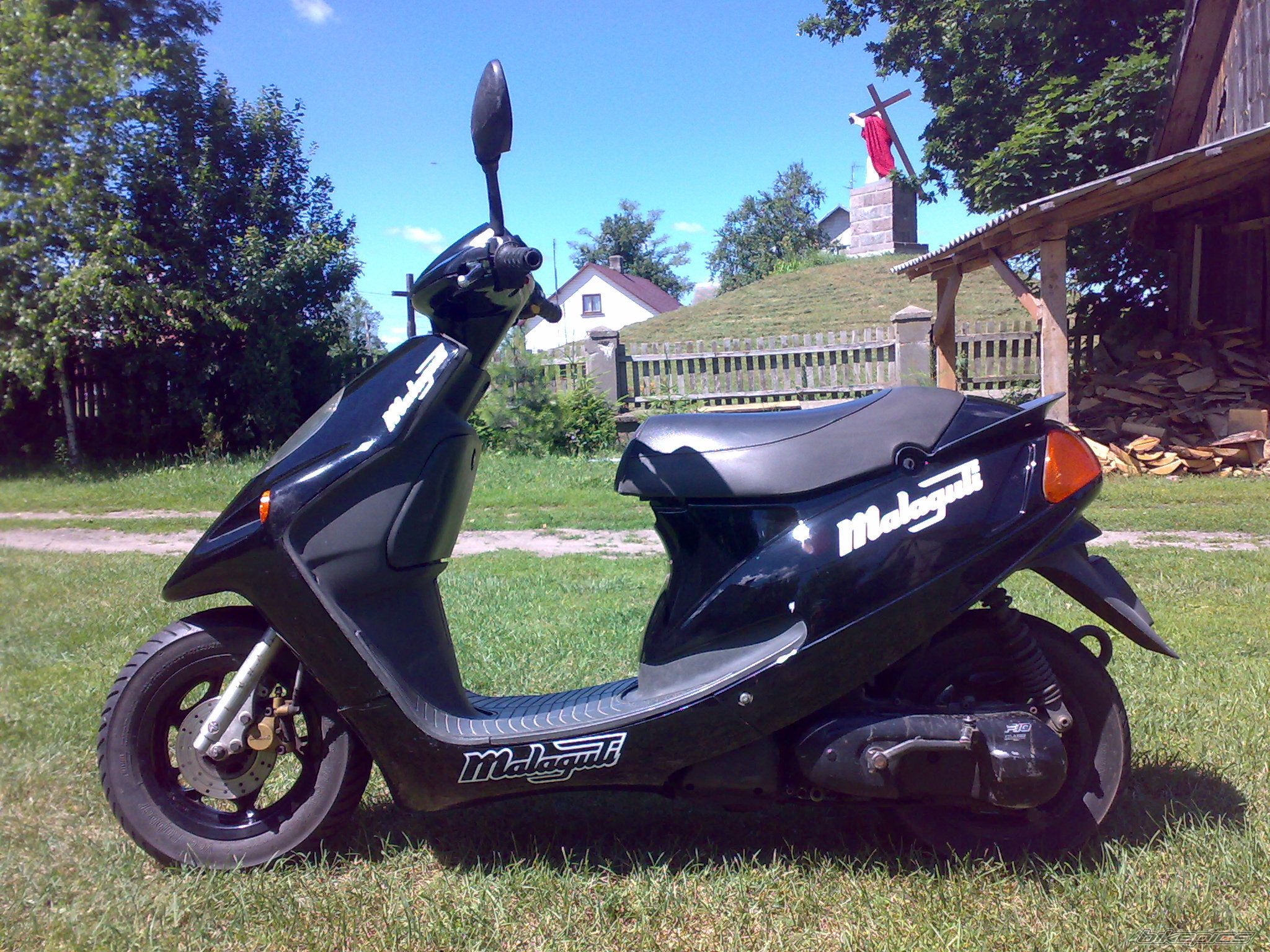 Photo 2007290