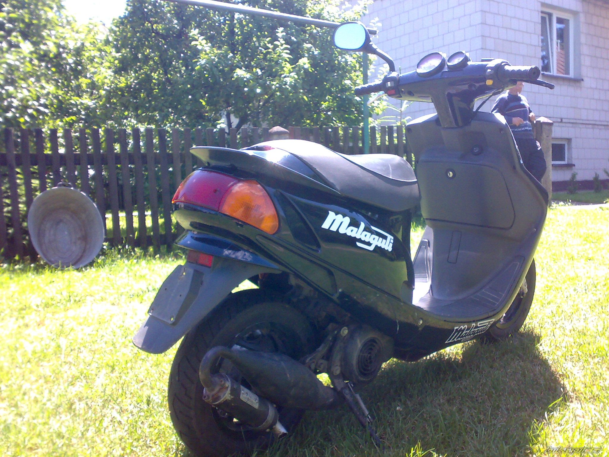 Photo 2007293