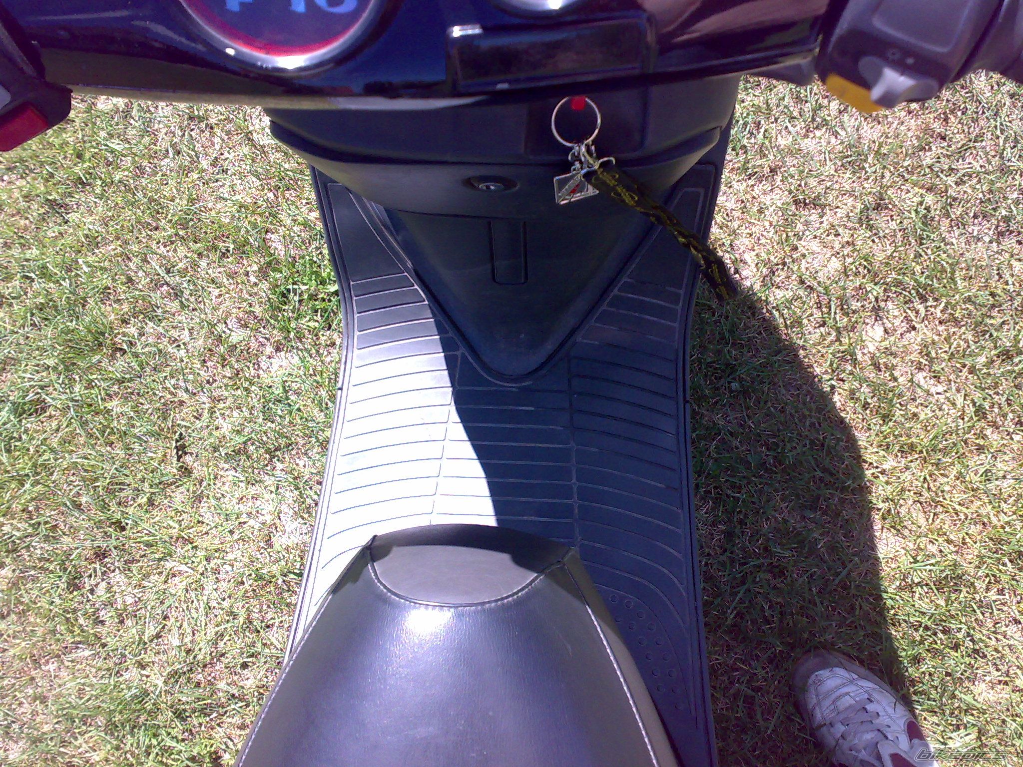 Photo 2007304