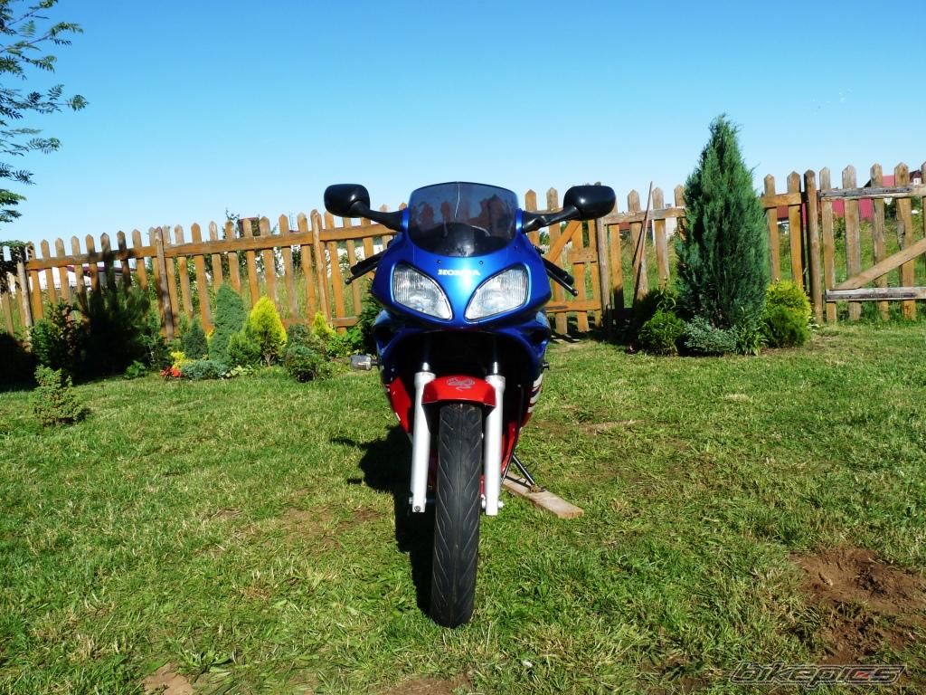 Photo 2007382