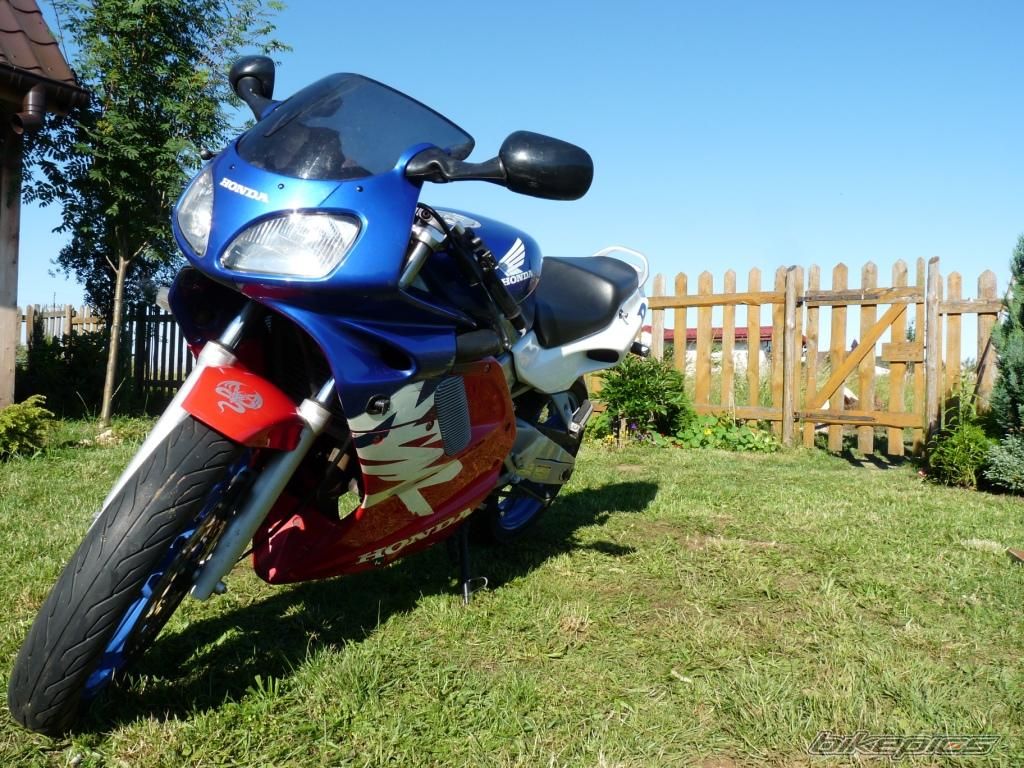 Photo 2007393