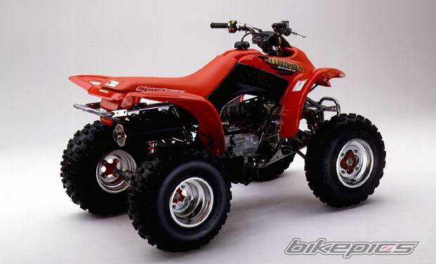 Photo 20074