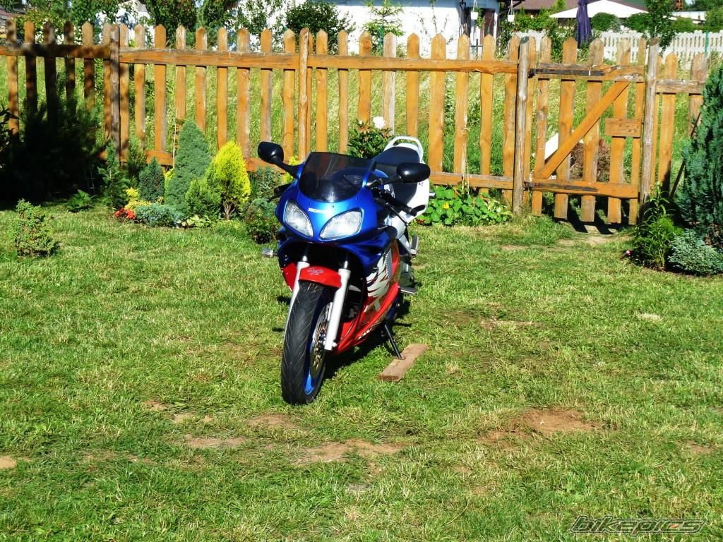Photo 2007407