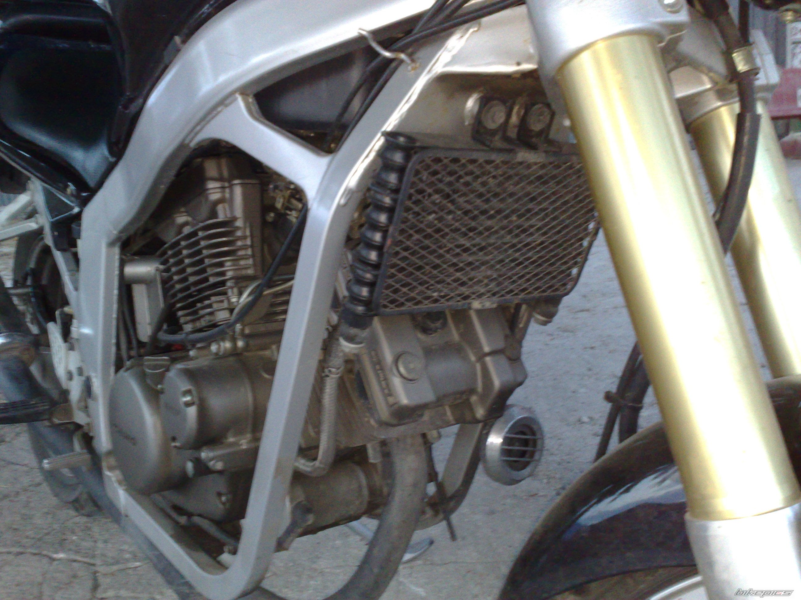 Photo 2007418