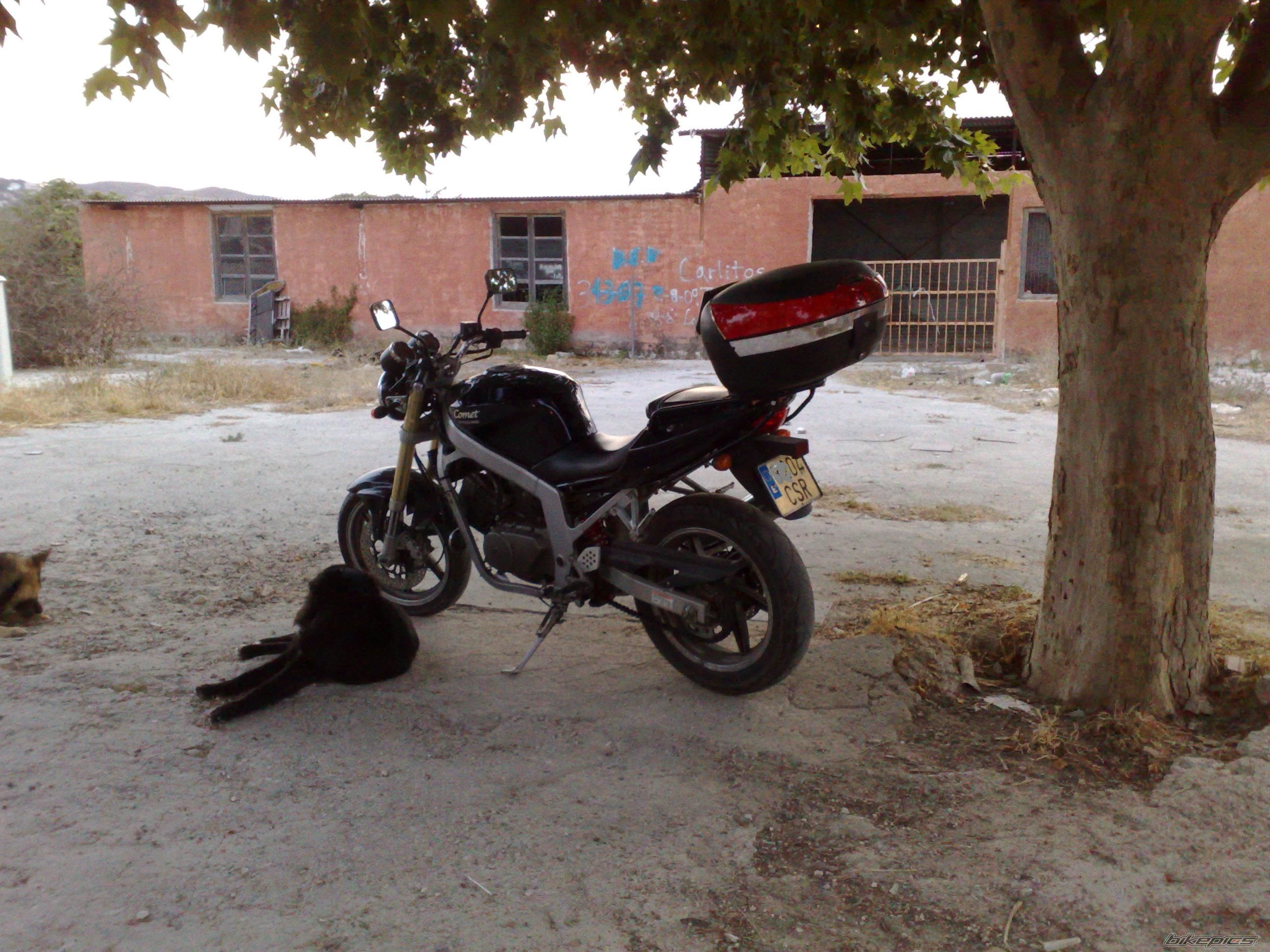 Photo 2007427