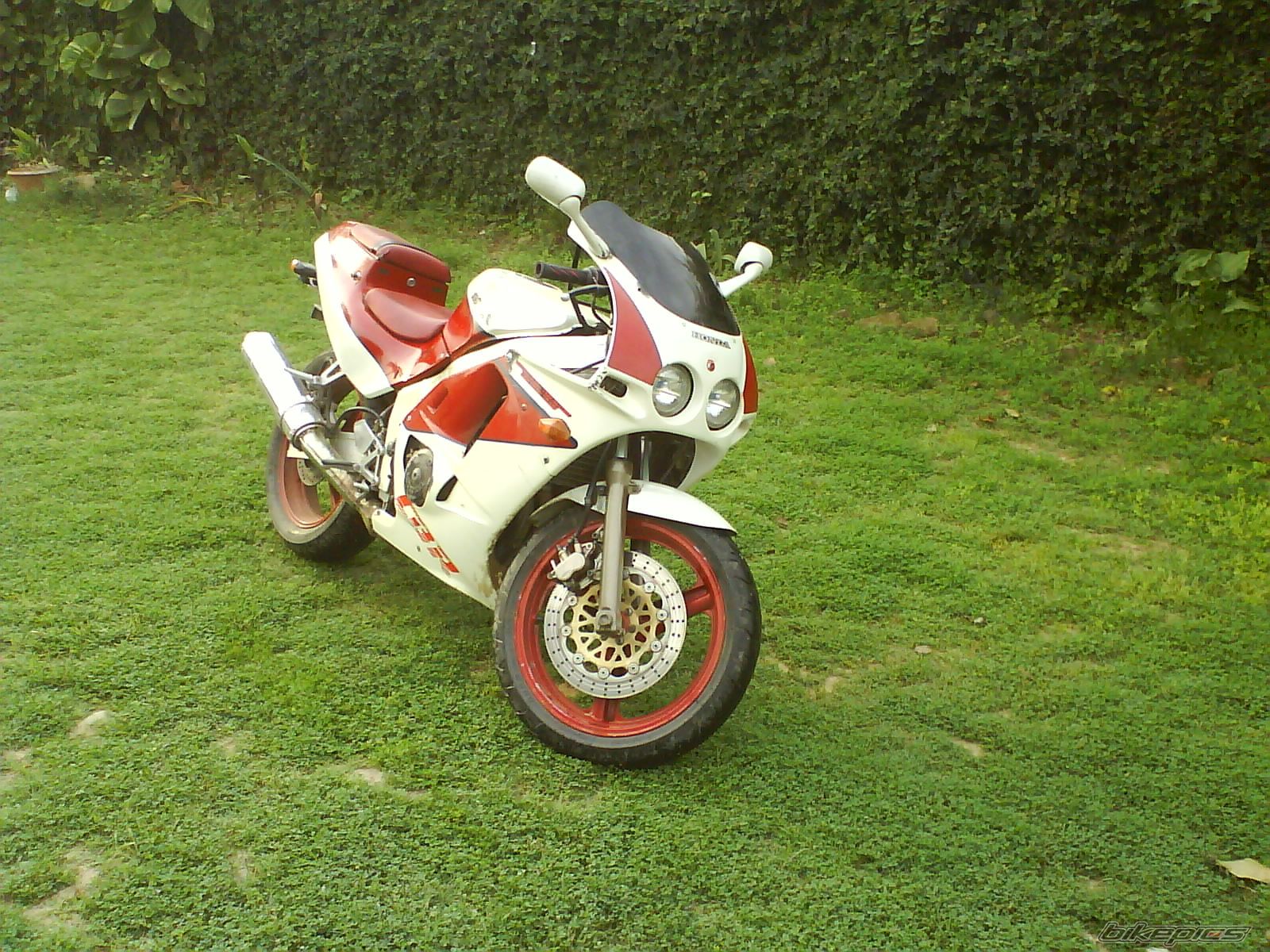 Photo 2007471