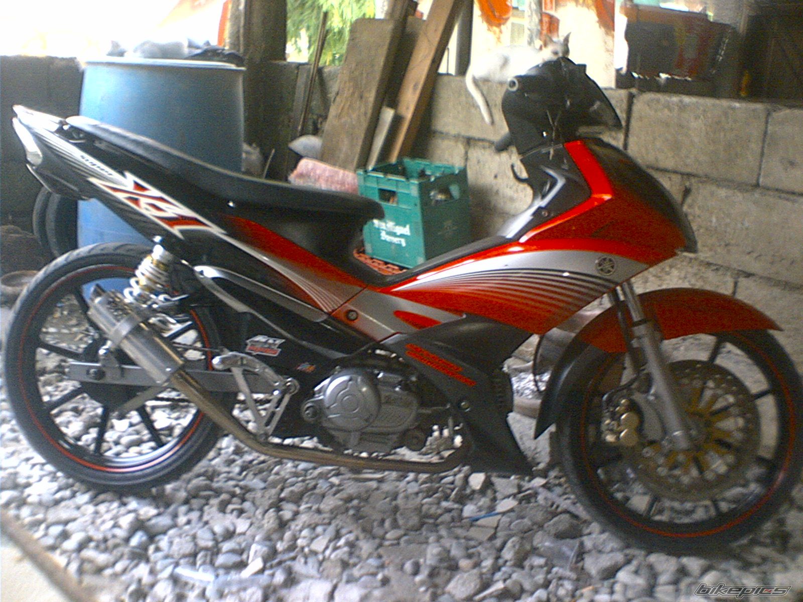 Photo 2007618