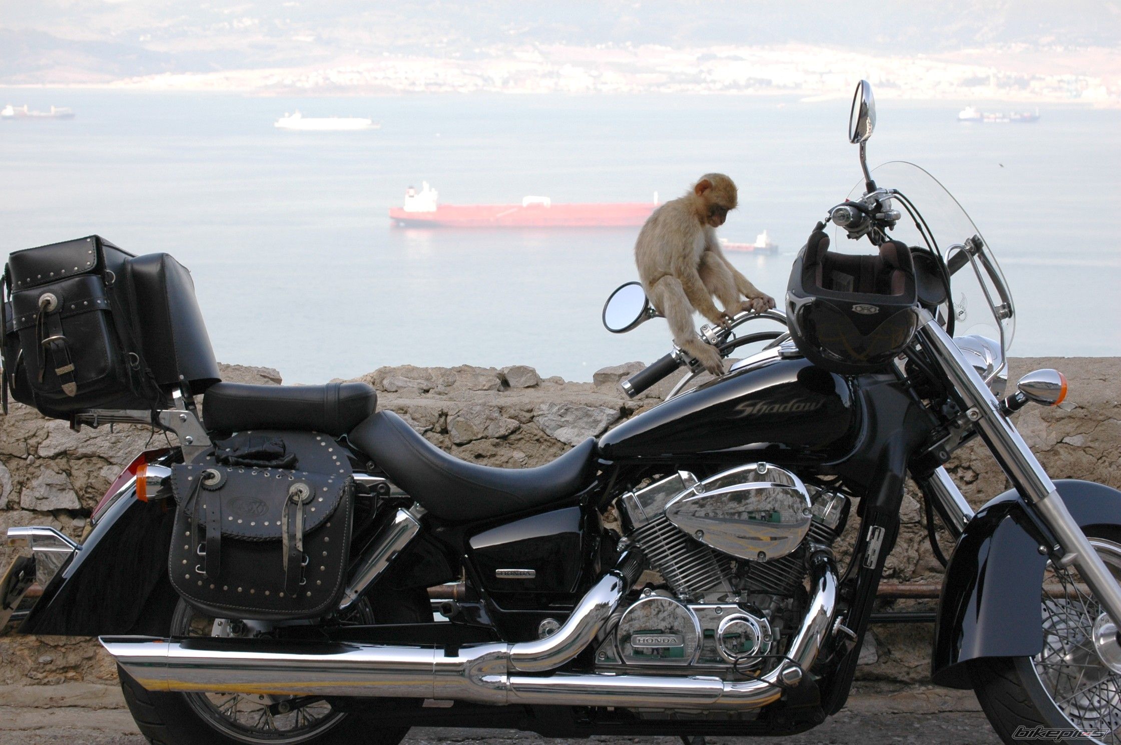 Photo 2007851