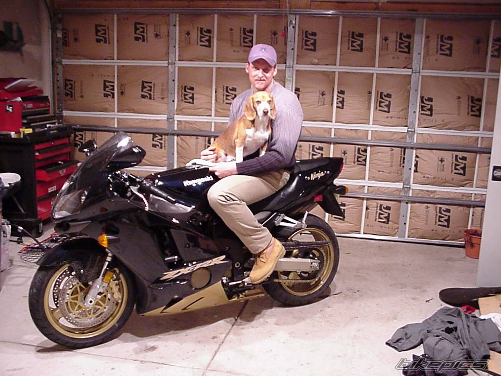 Bike Photo 20079