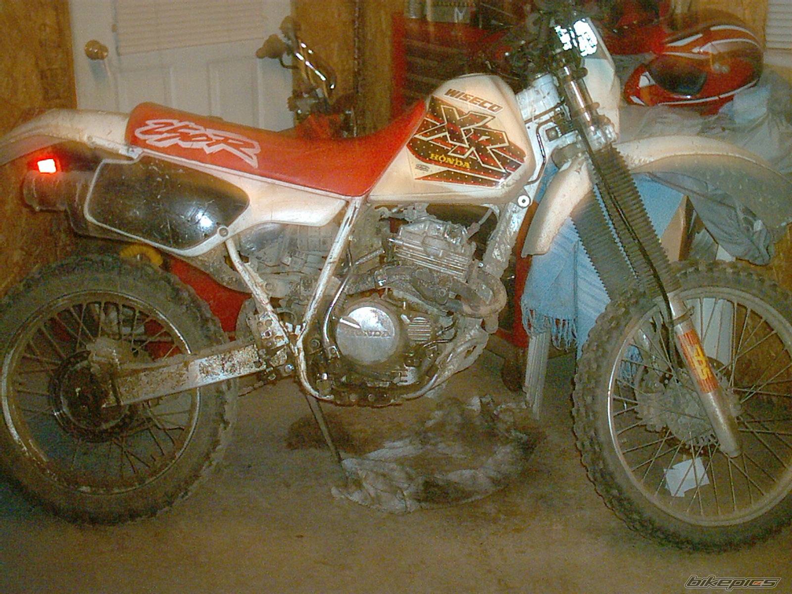 Photo 200813