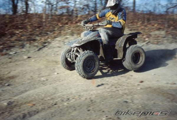 Photo 20082