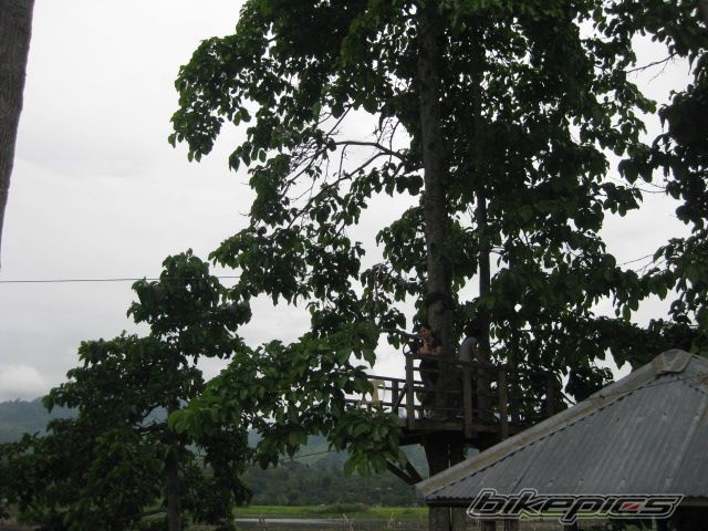 Photo 2008303