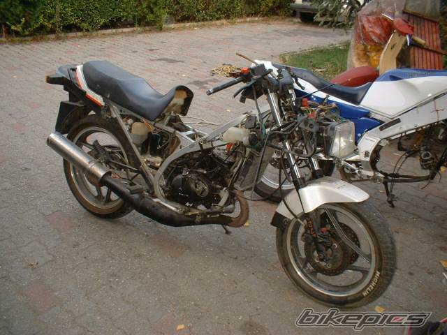 Photo 200834