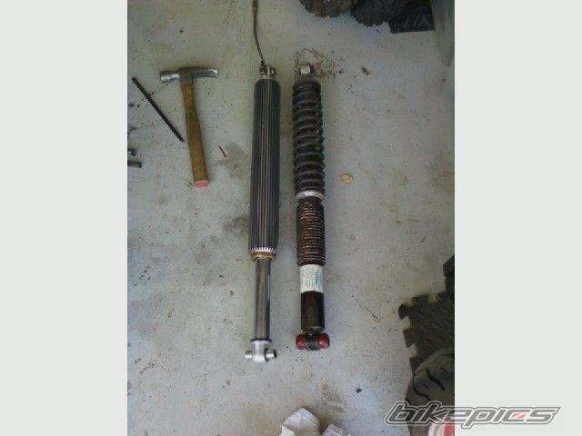 Photo 2008370
