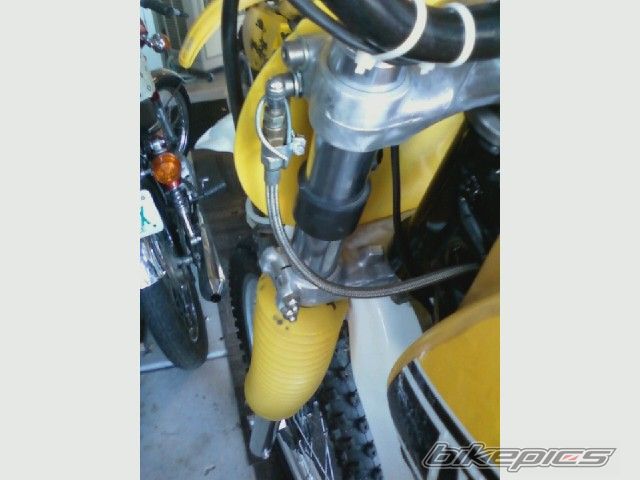 Photo 2008373