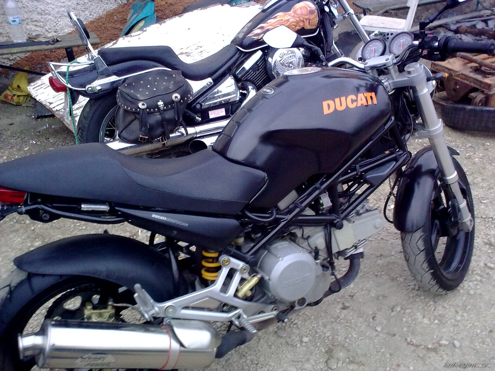 Photo 2008419
