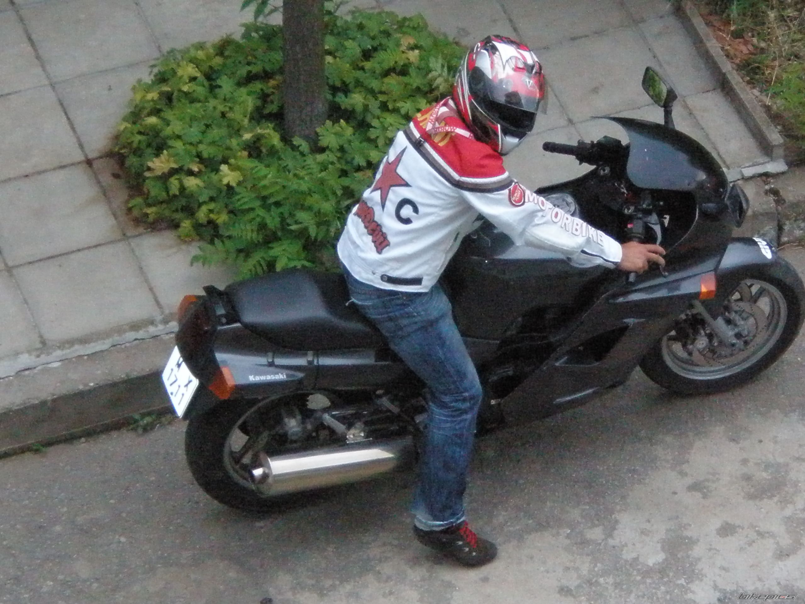 Photo 2008451