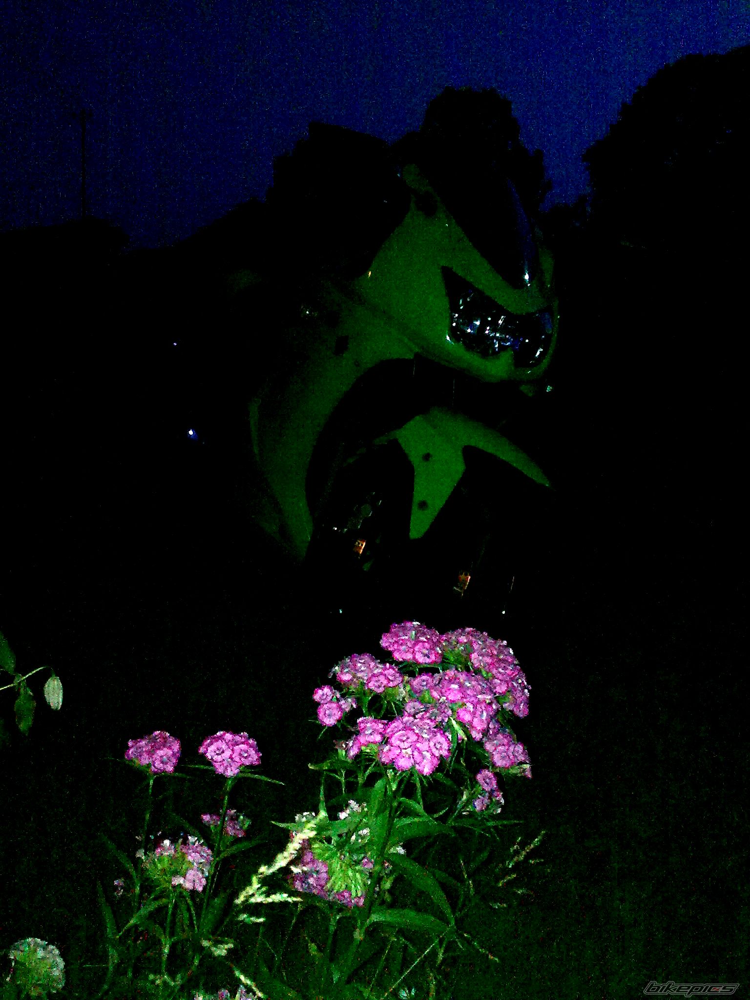 Bike Photo 2008499