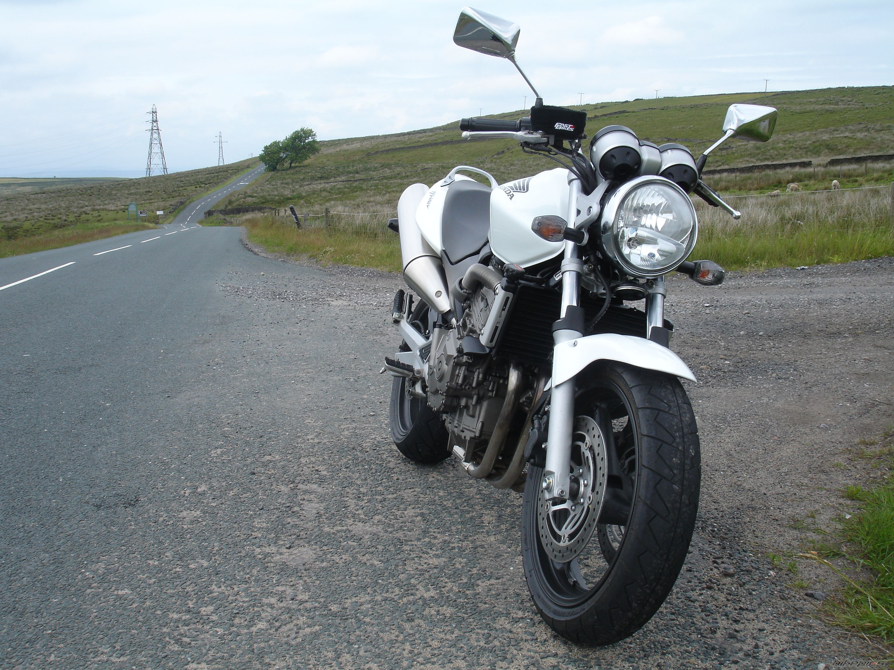 Photo 2008523