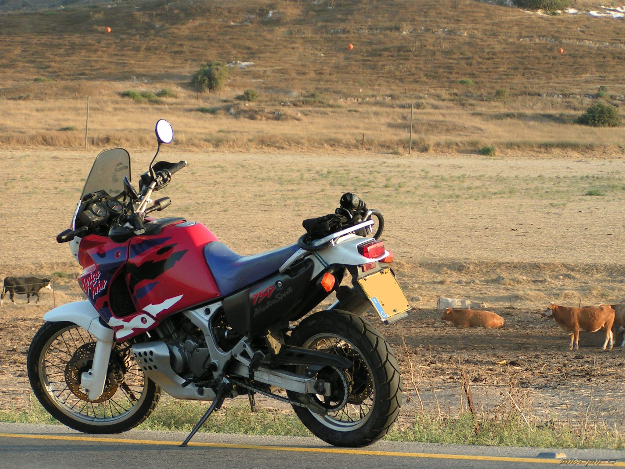Photo 2008558