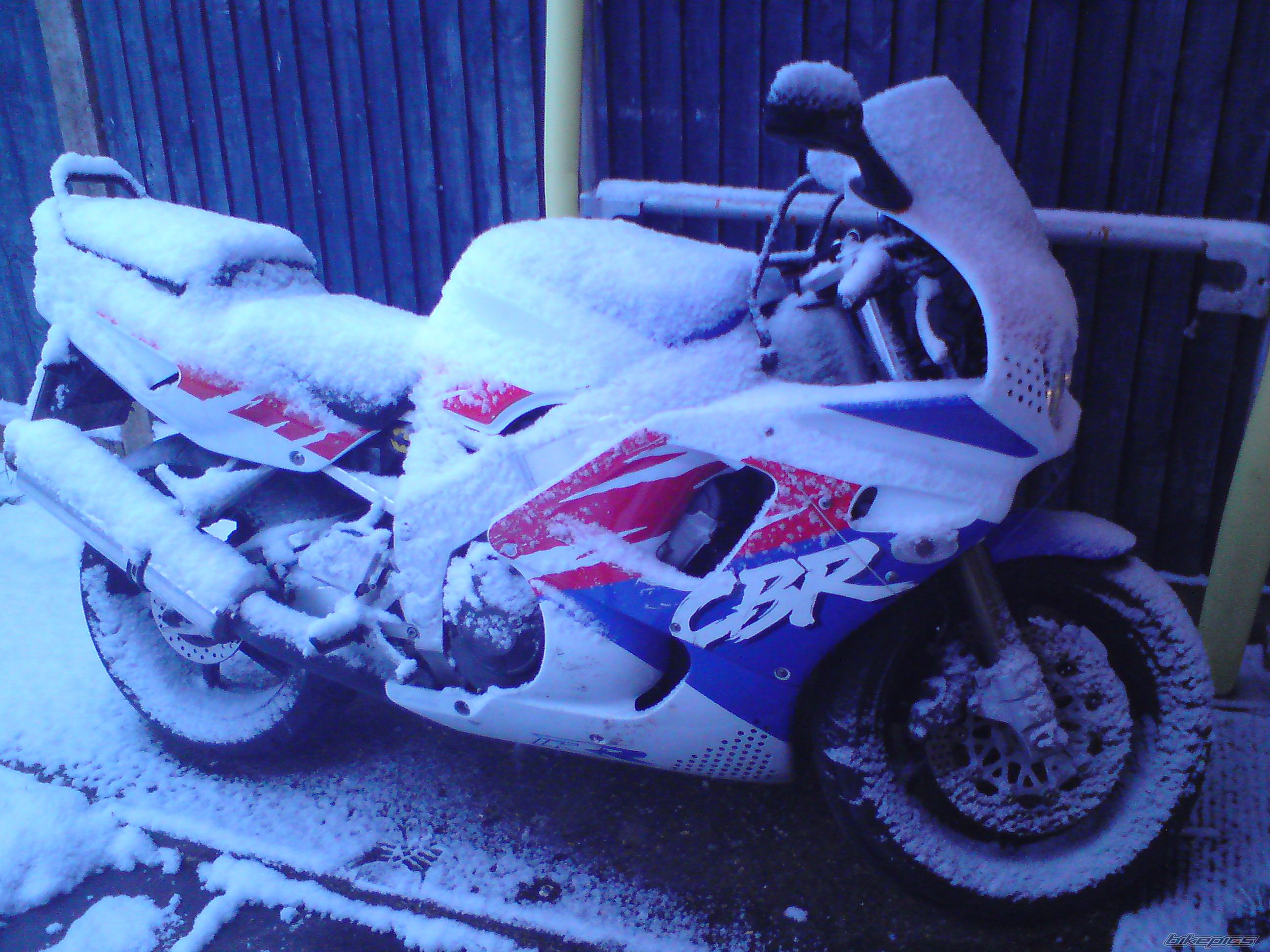 Photo 2008569