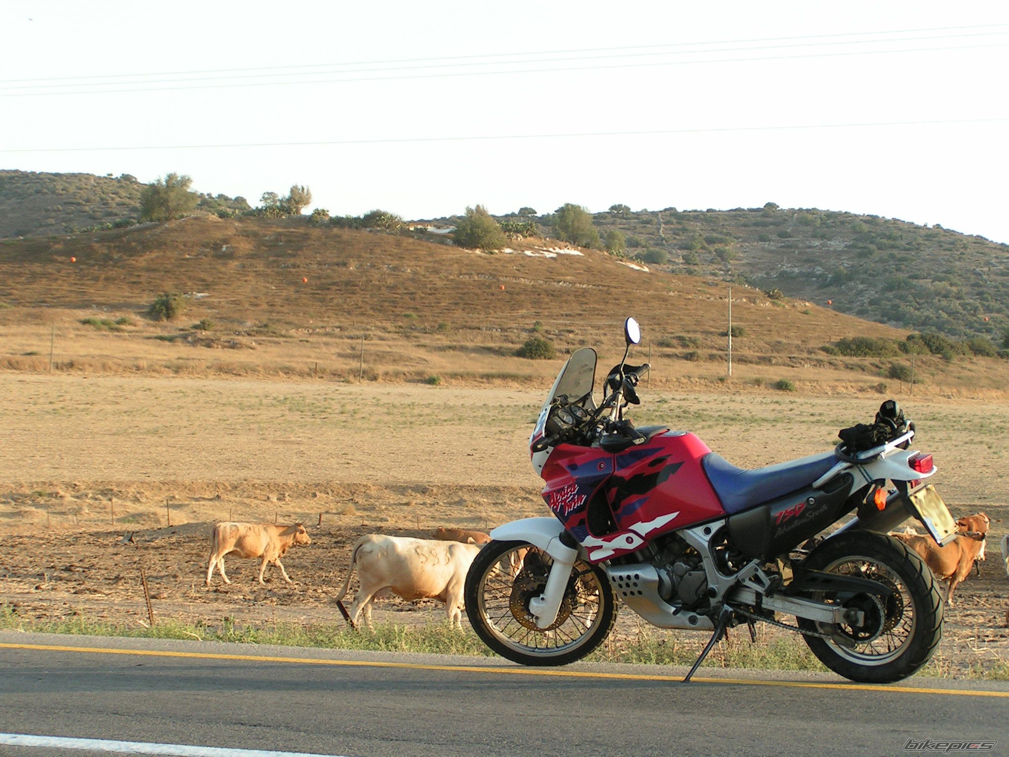 Bike Photo 2008570