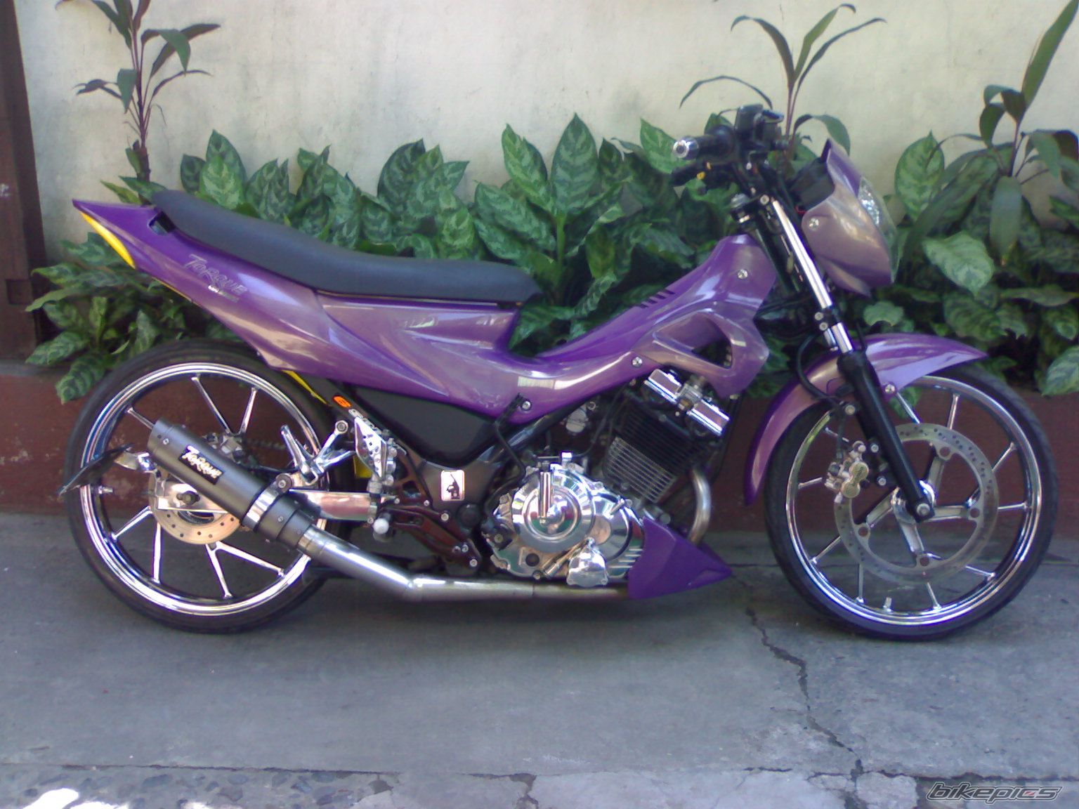 Photo 2008684
