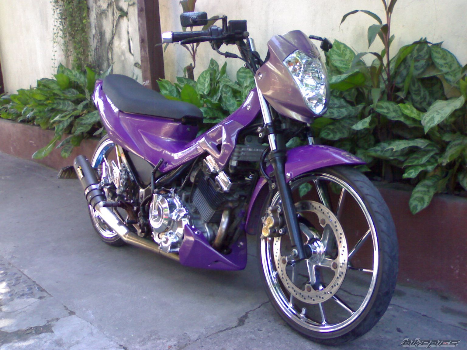 Photo 2008685