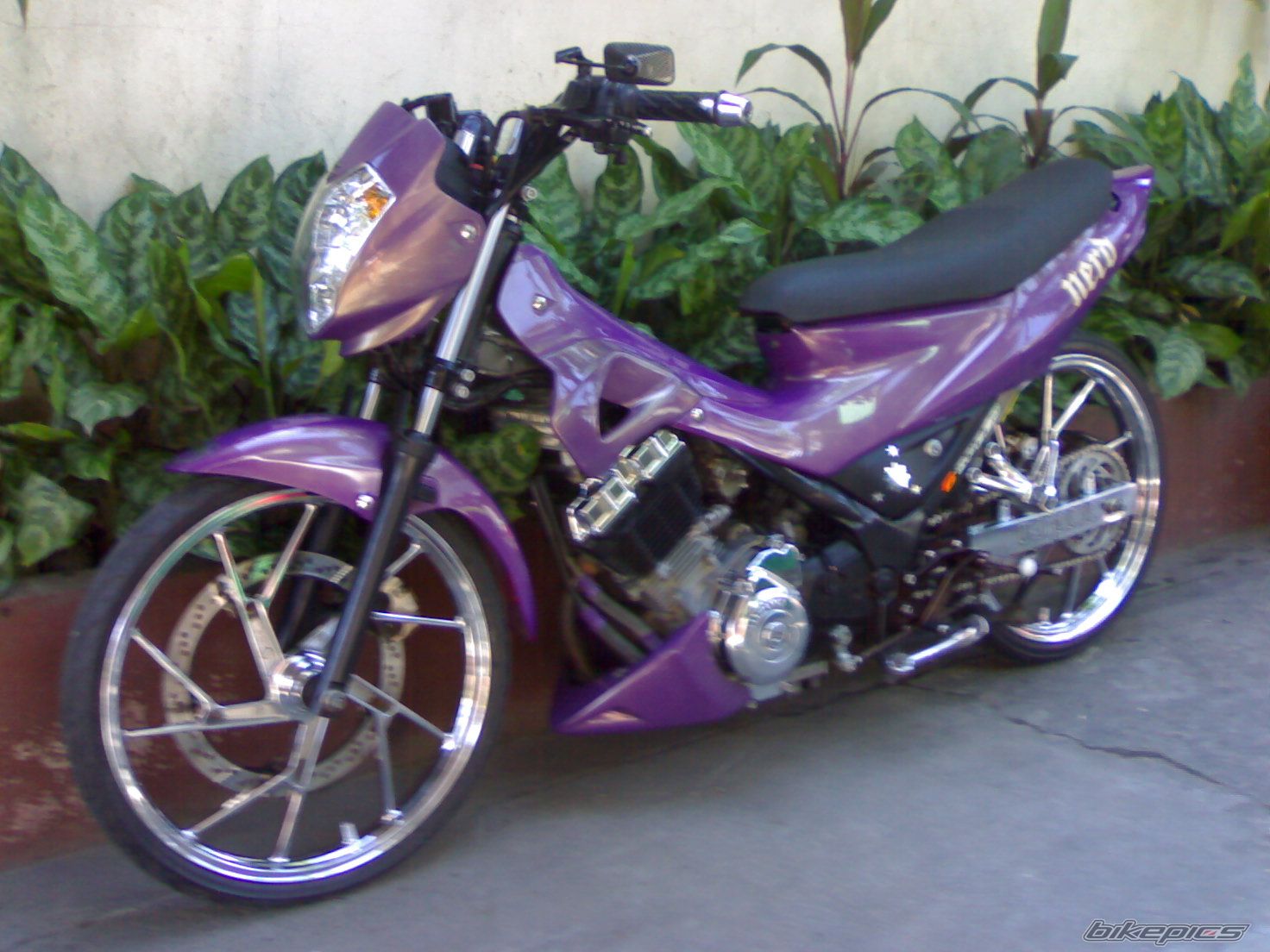 Photo 2008688